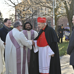 25 Jahre Stadterhebung Gerasdorf / www.markus-goestl.at