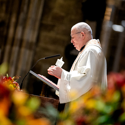 Vesper am Tag des geweihten Lebens / Erzdiözese Wien/Schönlaub