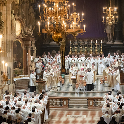 Chrisammesse 2025 / Erzdiözese Wien/ Schönlaub, Stephan Schönlaub