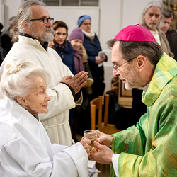 Erzdiözese Wien/Schönlaub