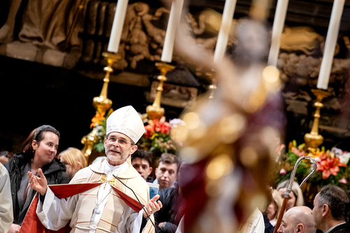 Erzdiözese Wien/Schönlaub